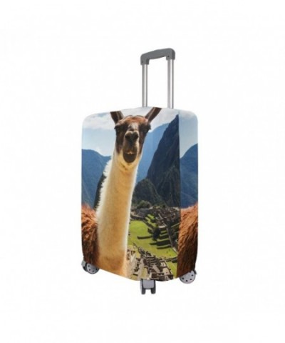 Discount Real Suitcases Wholesale
